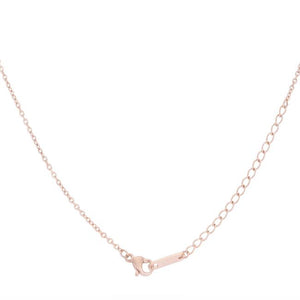 Arianna Rose Gold Stainless Steel Arrow Necklace - Jewelry Xoxo